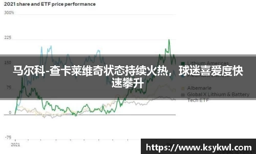 马尔科-查卡莱维奇状态持续火热，球迷喜爱度快速攀升