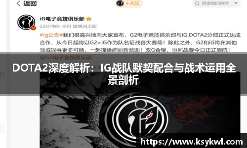 DOTA2深度解析：IG战队默契配合与战术运用全景剖析